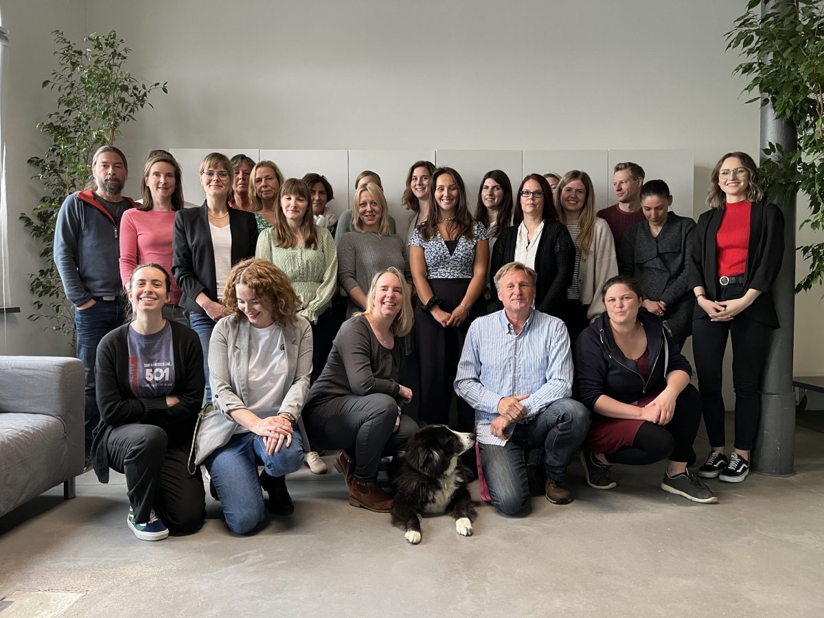 Gruppenfoto unseres DFSR Teams im Büro in Mannheim