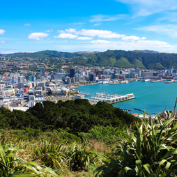 Blick auf Wellington, Neuseeland