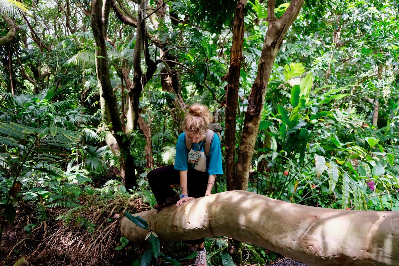 Austauschschülerin in einem Wald auf La Réunion