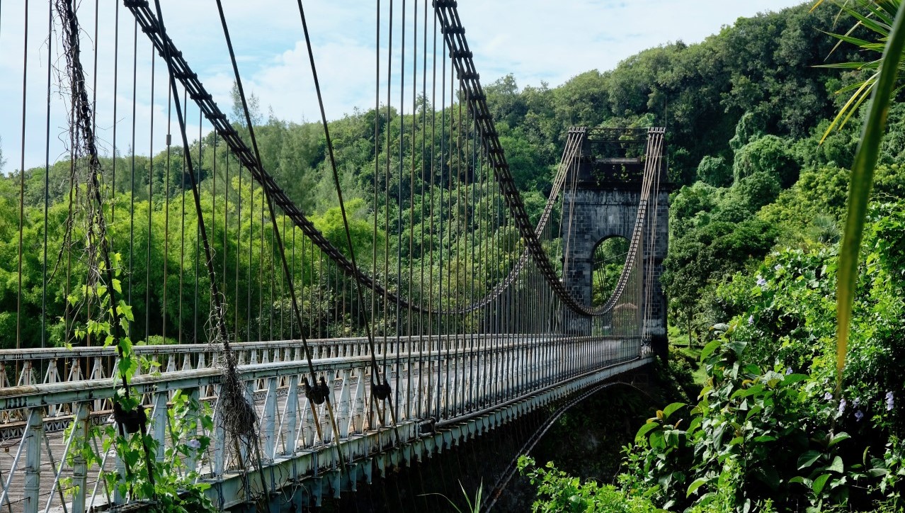 Brücke durch den Jungel auf La Réunion