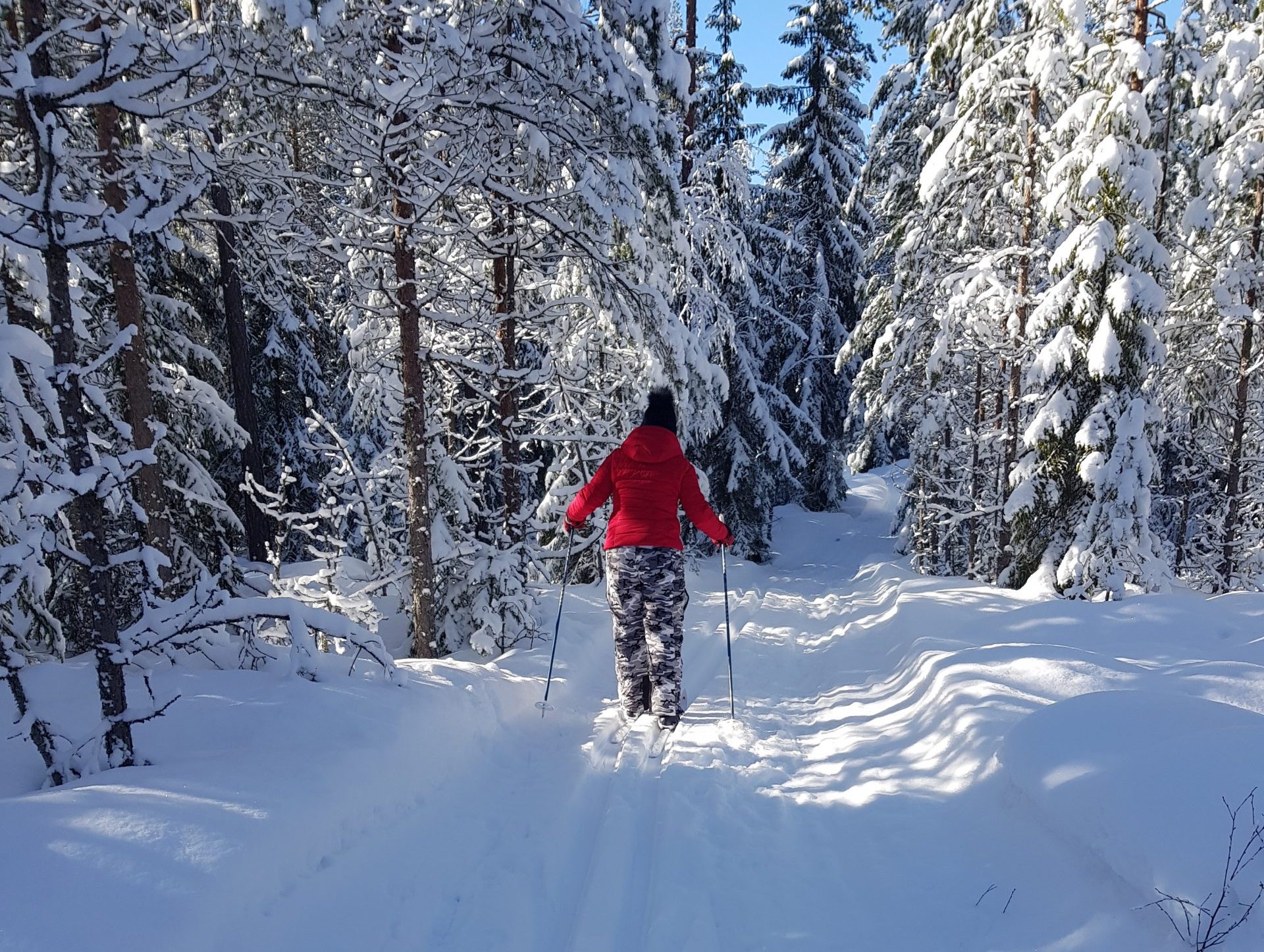 Austauschschülerin fährt Ski in einem schneebedeckten Wald in Norwegen