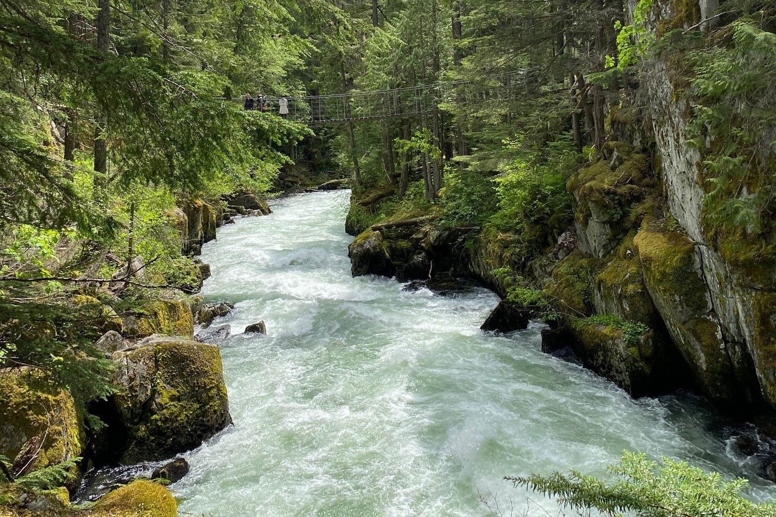 Fluss und Natur in Kanada