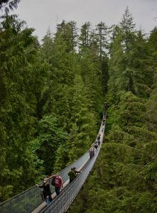 Hängebrücke in kanadischem Wald
