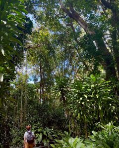 Austauschschülerin im Jungle auf La Réunion