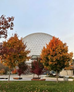 Bunte Bäume in Montréal